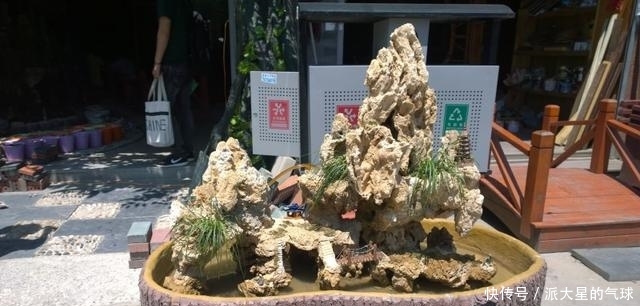 老师傅教你做盆景，从选材到动手，峡谷式山水盆景就这么简单