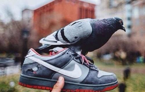  「SB」在2020年超火的Nike Dunk SB