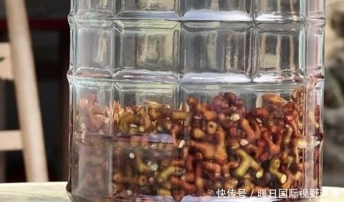  『种果』小时候会去摘1种“鸡爪梨”，褐色的果子独特，如今珍贵、也少见