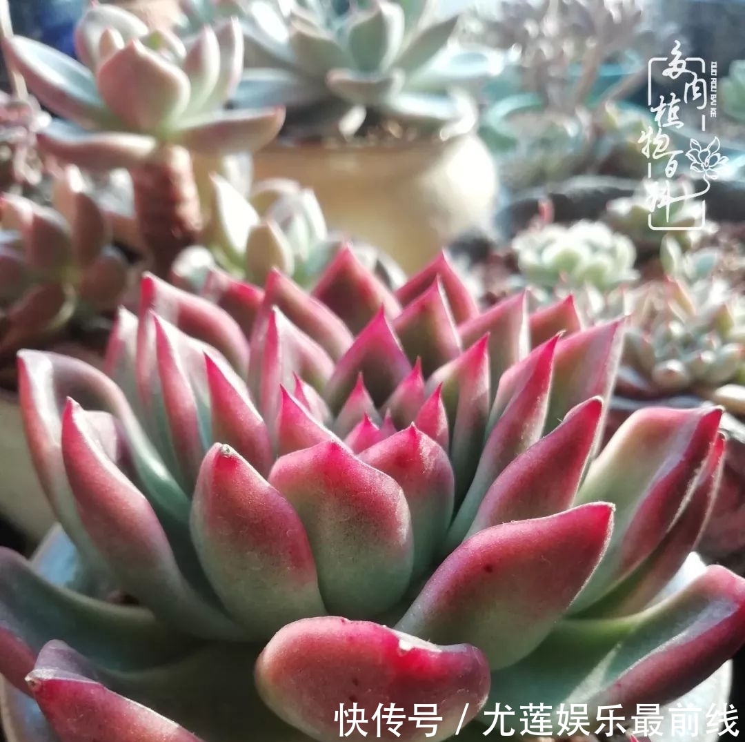 『那种』我爱的,就是你的存在!只要努力该来的都在路上!