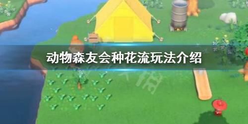 #时间#《集合啦动物森友会》种花流怎么玩 种花流玩法介绍