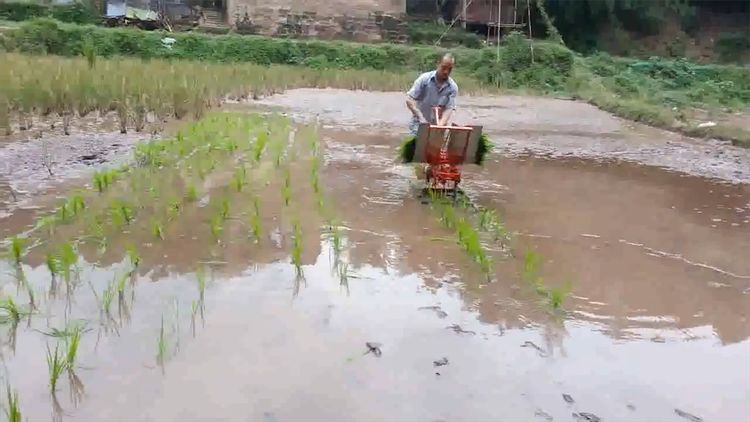  民间|民间牛人发明“手摇式”插秧机，不用油不用电，200元造一