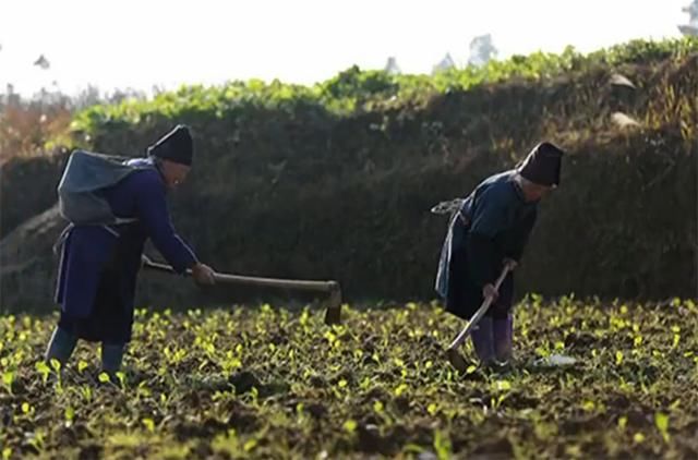 农业气象：南方持续阴雨还要多久？“太阳”要流浪到何时？