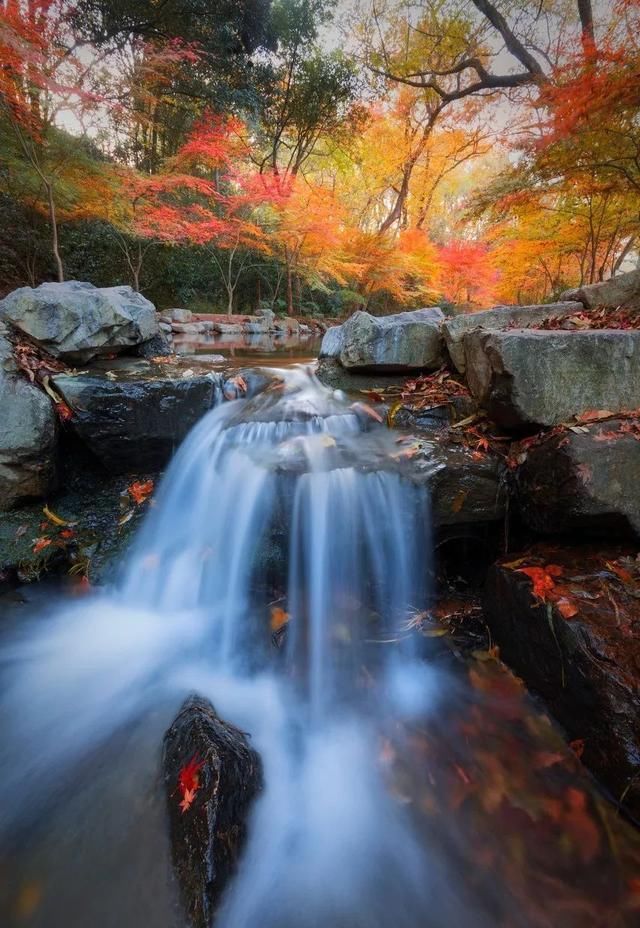 就是现在!鲜为人知的8处深秋景色,错过又要等一年