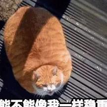 3岁小孩被狗咬掉腿？造谣的人，人血馒头好吃吗？！