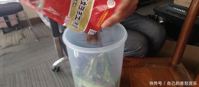  叶菜@烂果蔬菜叶别再扔了，加点糖，教你做出叶面肥，种菜养花都需要