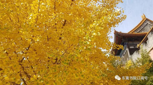 秋分?昼夜平分，宜养身