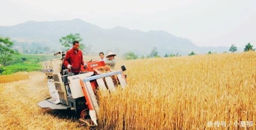  养老金|2019年起: 年龄超过这个“数”就不必交社保了, 别白花“