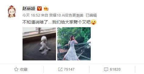 怀孕不敢承认，卓伟打脸赵丽颖 网友：怕失去粉丝！