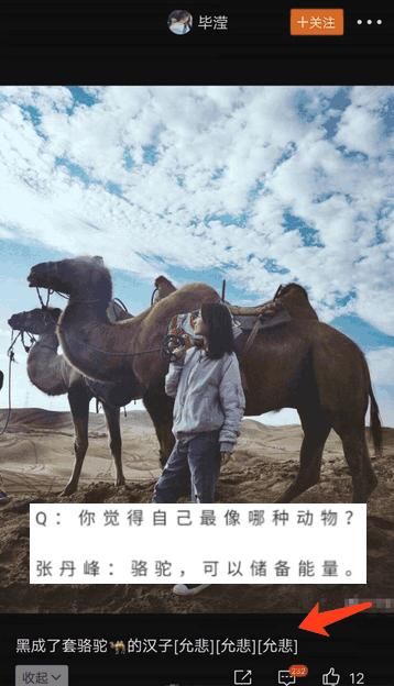 网曝毕滢疑曾因插足男明星,婚姻求助知名情感博主,并赞男方活好