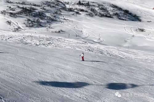 全球滑者都向往的阿尔卑斯到底有多美？