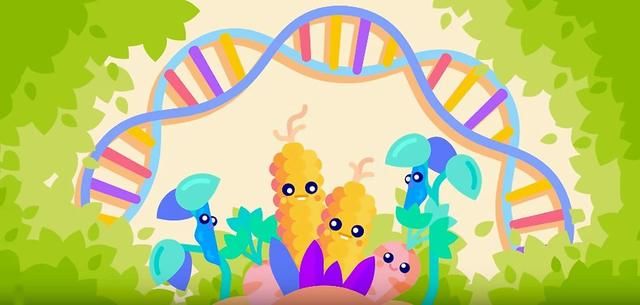 万字长文，为你查证关于转基因的那些谣言