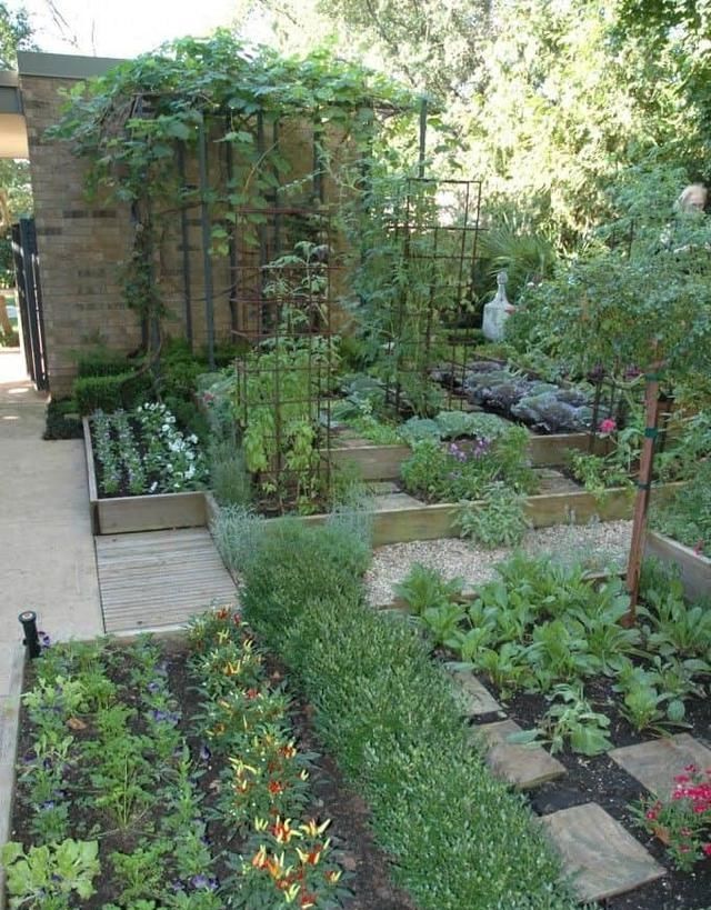  设计|城里人越来越流行在家种菜了！分享10种菜园设计，省钱还健