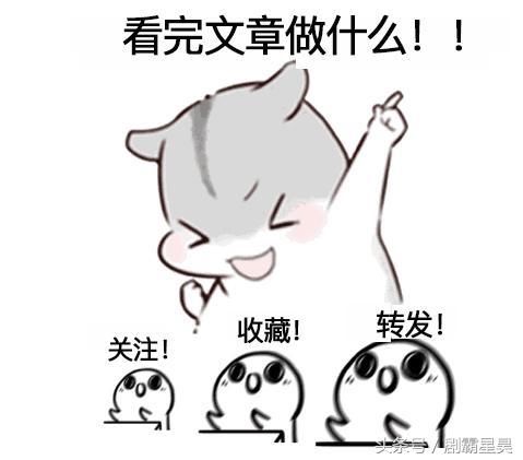 终于找到了，比连衣裙还洋气的小衫，款款惊艳，一下买五件不心疼