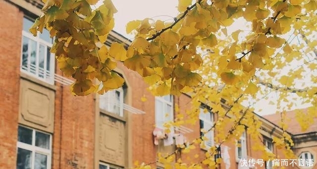 开学了,去青岛最美大学去逛一逛吧,个个堪比5A级景区