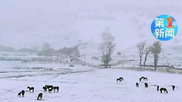  「下雪」现在！陕西下雪了！冬夏交织，最低只有零下6度...