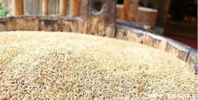  [中国]中国小麦产量最多的十个省，河南的小麦产量最高