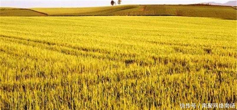 中国起名最随意的城市 听起来像是个镇子, 却有上千万人口