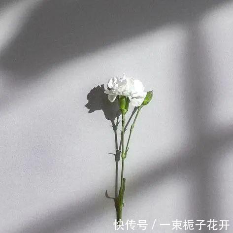  卡其色@今年春夏最流行的5组配色，穿对了显白又显贵！
