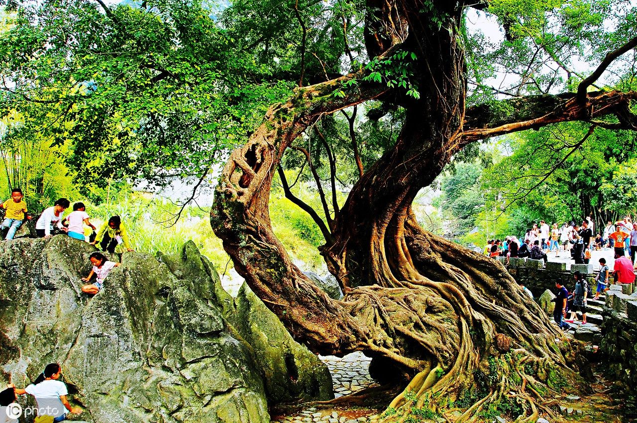 广西14大城市面积排行，百色第1桂林第3南宁第4，防城港北海垫底