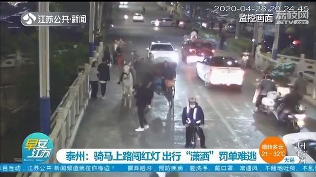 『出行』泰州几个年轻人骑马上路闯红灯 出行“潇洒”但罚单难逃