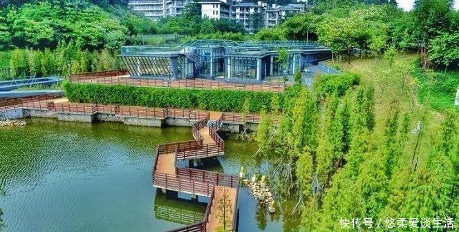  #GDP#中国第一个GDP破千亿镇子，只顾闷声发大财，现实力超过地