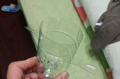  [下次]不起眼的塑料瓶，养花的神器，什么都能干，下次可不要丢了