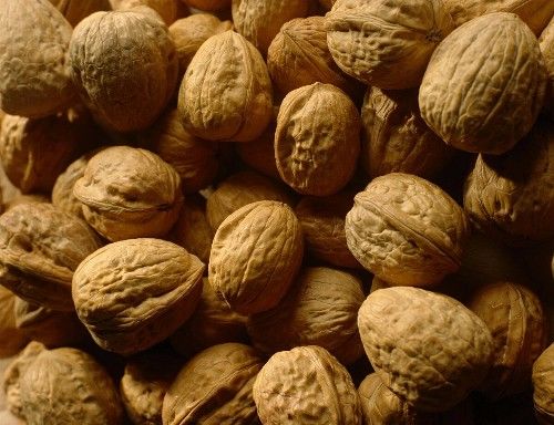 核桃壳别扔,核桃壳煮水大有用处,治咽炎,清热解