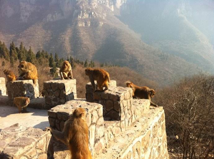 中国最难分清两座城市:名字区别不大还不一个省,经常有人搞错