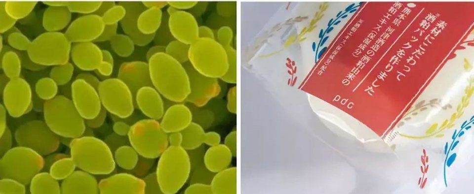 断货半年,抢都抢不到!荣登Cosme榜首,用完白1个色号,肌肤嫩到