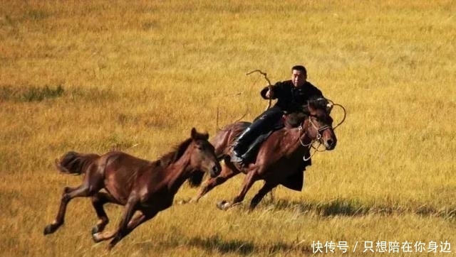 呼伦贝尔的秋天，美的太高级