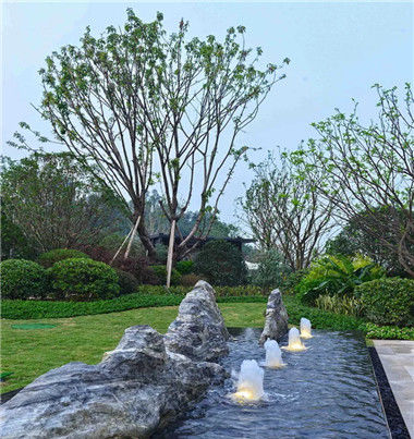  「景观石」庭院常见景观石的种类及运用