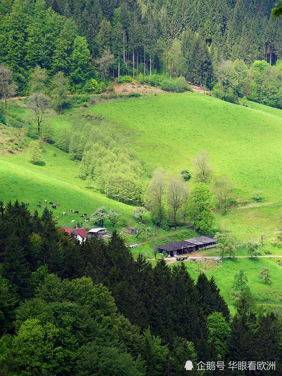  风景：德国最美自驾公路B500沿途风景