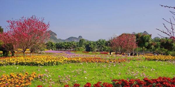  【gdp】广西最富的三个城市 有你的老家吗