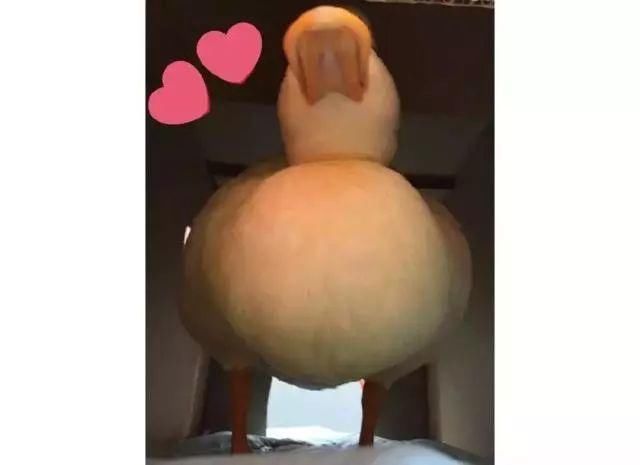 赶紧把你的内衣扔了吧!好看的妹子都这样穿