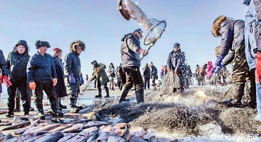  [鱼非常]查干湖冬捕野生鱼被怀疑造假, 消费者 啥鱼一年可以长这么大