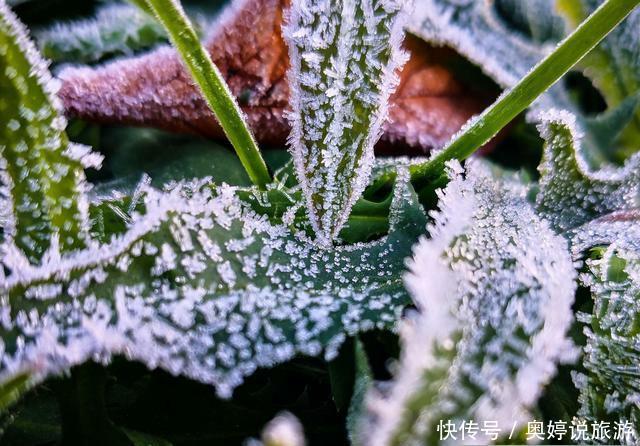  道理■霜降到，俗语“霜降无雨，暖到立冬”有道理吗？今年是“