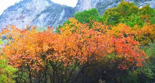 秋日里，山西20处绝美赏秋胜地美的像仙境