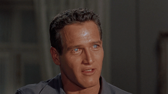  「谎言」《热铁皮屋顶上的猫》：撕碎生活的虚伪谎言，是对爱与包容的呼唤