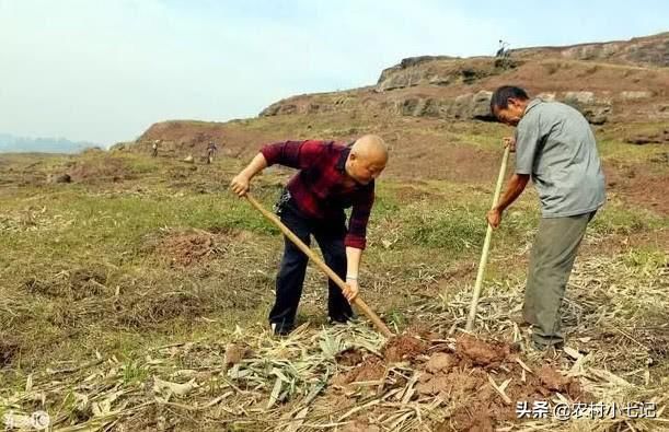 农村成空心，土地被搁置荒芜，农村荒芜的土地该怎么办？