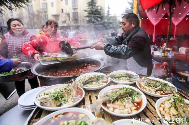 未来5年，农民可选择这4个行业，只要抓住机遇，你也可以发家致富