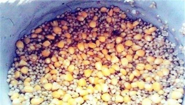  「草鱼」春季钓草鱼，你需要一款给力的窝料，这个配方来助你，别错过