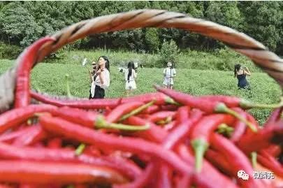  生态■南充西充，你好！