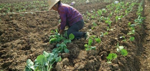 农村的人们在未来，还可能要面临2大难题，几乎人人都逃不过