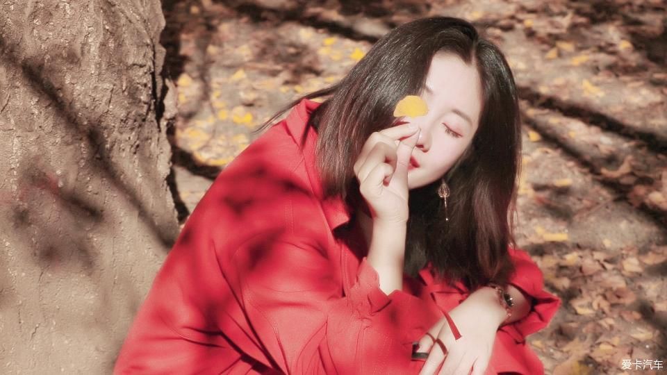 固东银杏村的黄色攻略