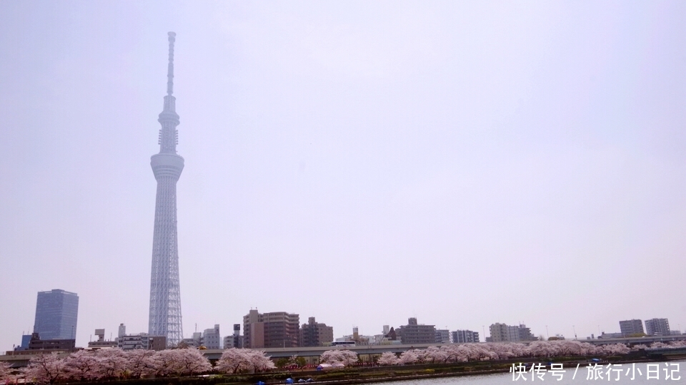 旅行中那些不购物的人