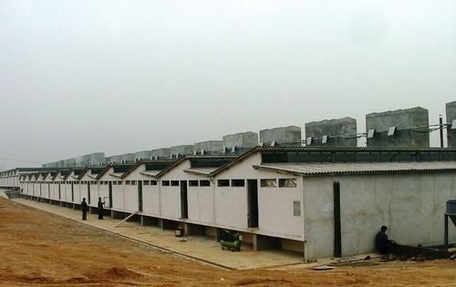  【钱人】农村出现了很多扶贫计划，这三个项目可靠，低成本稳步报答