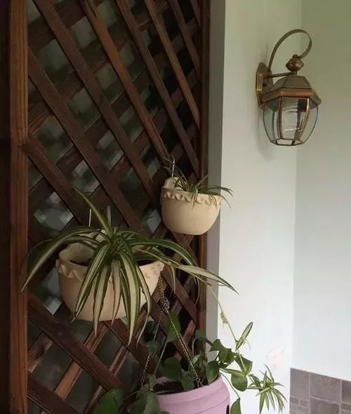  『养花』阳台就是要这样布置, 养花和晾衣一个都不耽误!