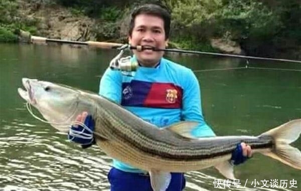 曾经的“长江一霸”，如今却无奈出国，到别国“求生存”