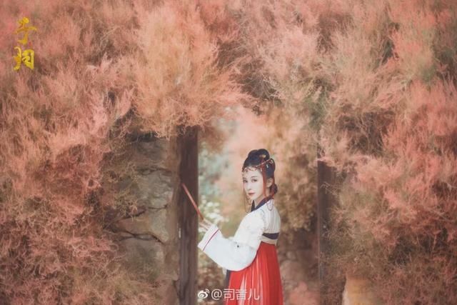  「桃之夭夭」汉服小仙女：桃之夭夭，灼灼其华